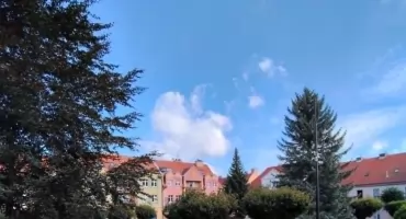 Działki, dom i udział w nieruchomości. W powiecie wołowskim ruszają kolejne licytacje komornicze