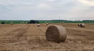 Złoty czas zbiorów. Od dawnych tradycji po radosne Święto Plonów w naszym regionie