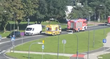 Szerszenie, drzewa, wypadki, pożary i zalane mieszkania. Strażacy mieli pełne ręce roboty