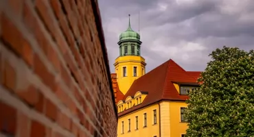 Powiat Wołowski sprzedaje grunty. Wykaz działek w Piotroniowicach i Boraszycach Małych